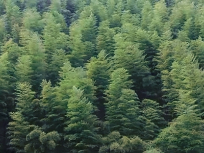 2012�������̫���Ļ�ϵ�ж�Ƭ-����Ȼƪ��